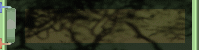 Beruf ?